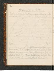 Seite 64, Tagebuch "Palästina (Tagebuch)" (NHMW-PRAE-BBB-80)